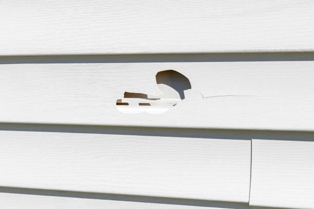 Best Storm Damage Siding Repair  in Dubois, PA