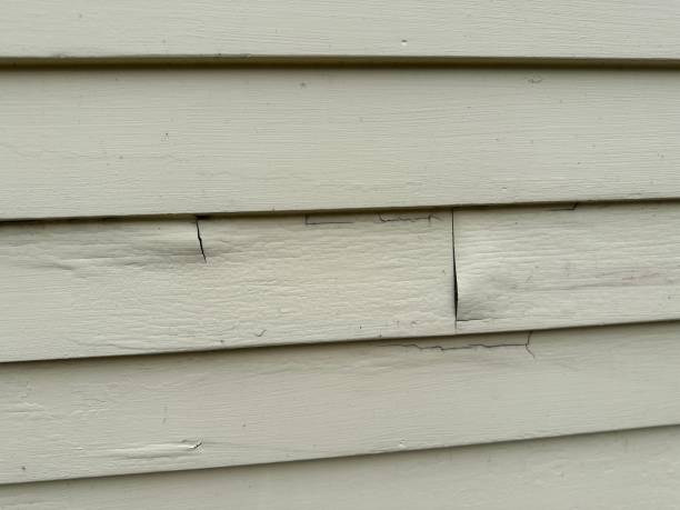 Best Siding Removal and Disposal  in Dubois, PA